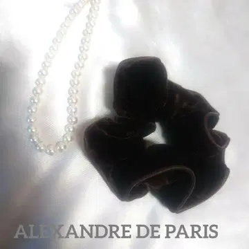 ALEXANDRE DE PARIS 스크런치