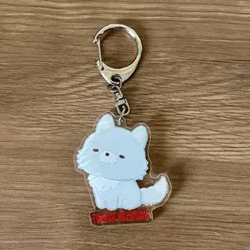 아오이코오카미 타워 레코드
