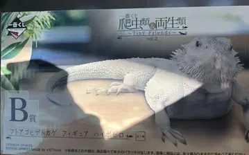제일복권 파충류 및 양서류 vol.2 B상 후토아고히게도마뱀 피규어
