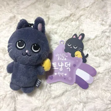 RIIZE PARK 원빈 토냥덕 8cm 키링 봉제 인형