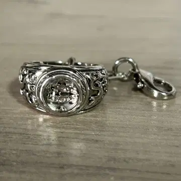 가정교사 히트맨 REBORN! 봉고레 반지 컬렉션 참 대공