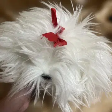 소우비샤 레트로 강아지 시추 봉제 인형