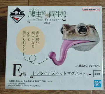 파충류 및 양서류 제일복권 레프타일즈 헤드 마그넷