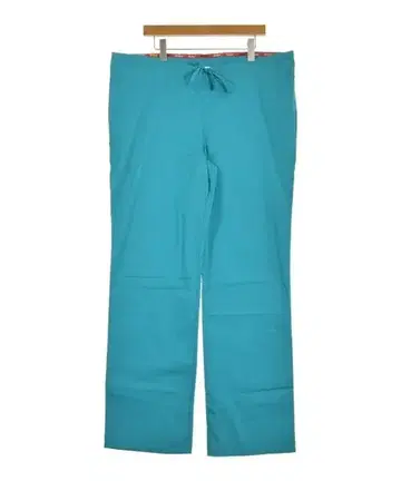 Dickies 팬츠 (기타) 남성용