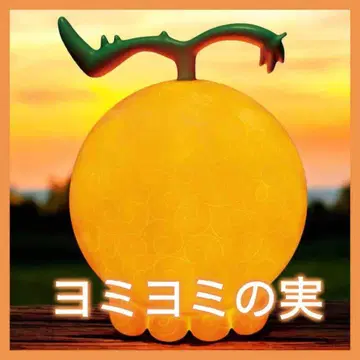원피스 ONE PIECE 악마의 열매 룸 라이트 요미요미의 열매