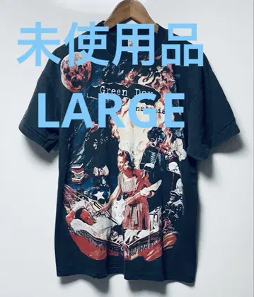 미사용품 GREEN DAY INSOMNIAC S/S TEE L 사이즈