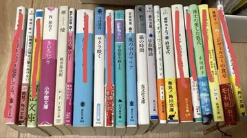 소설 2권 350엔