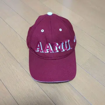 캡 버건디 대학