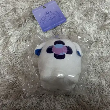 디티카 2주년 별 인도 쇼 오토모 니지산지