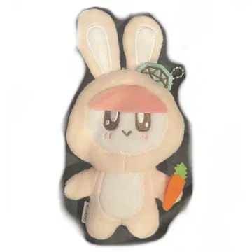 세븐틴 모자 꽁지 토끼