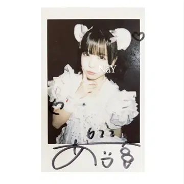아이스 폴라로이드