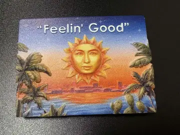 후지이 카제 Feelin' Good 마그넷
