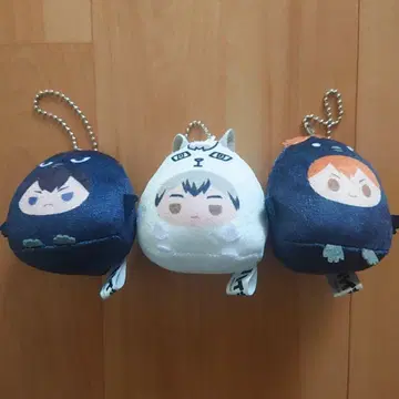 하이큐 테노린즈 히나타 카게야마 키타