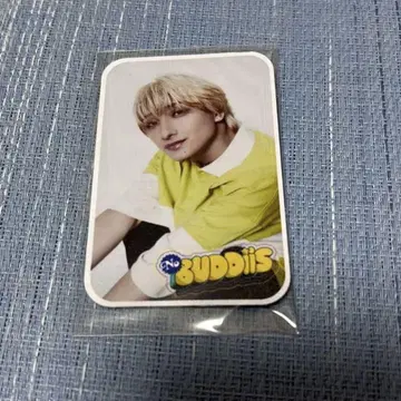 No Buddiis FUMIYA 카드 거울 타카오 후미야
