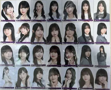 노기자카46 초회 사양 한정 봉입 브로마이드 151장