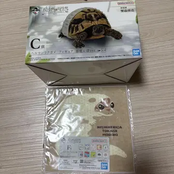 파충류 및 양서류 Vol.2 C상