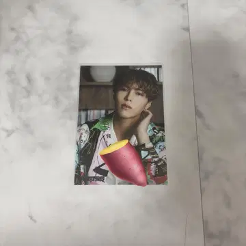 BUDDiiS 케빈
