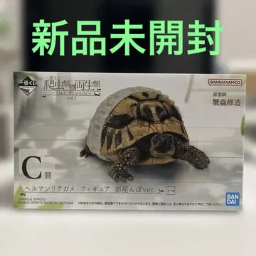 파충류 & 양서류 제일복권 C상 헤르만 육지거북
