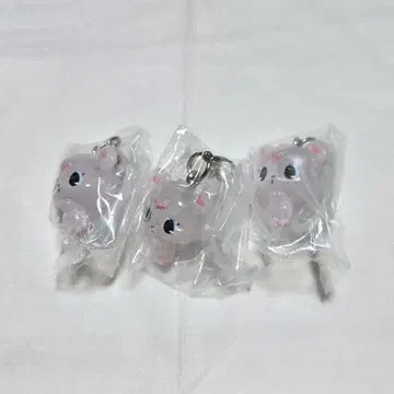 쥬얼펫 메지루시 액세서리 라브라