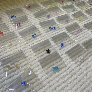 30개 이상! 묶음 판매 리카짱 캐슬 리카짱 귀걸이