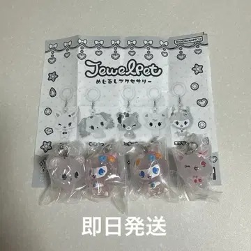 쥬얼펫 메지루시 액세서리