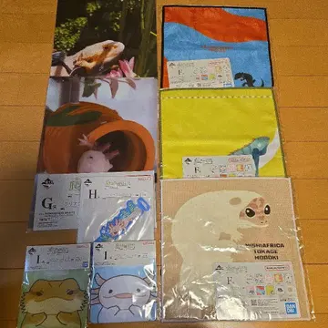 파충류 & 양서류 vol.2 제일복권 타월 클리어 파일 지퍼 러버