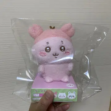 치이카와  헌책방 카니짱