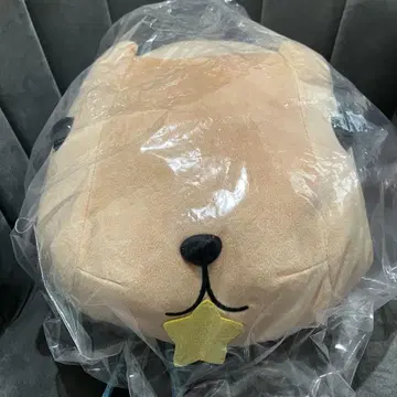 카피바라씨 메챠모후굿토 봉제 인형 ~20주년~ 트윙클씨 등장