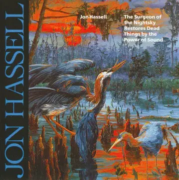 Jon Hassell :The Surgeon Of The Nightsky