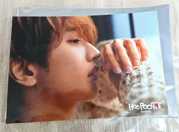 Nissy 호카포 카페 카페 혜택