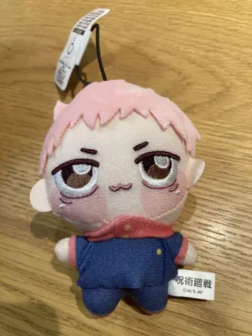 봉제 인형 이타도리 유우지 쵸피누이 쁘띠 주술회전