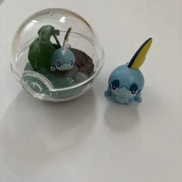 메손 테라리움