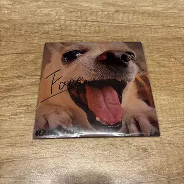 RAINCOVER single 단종 CD
