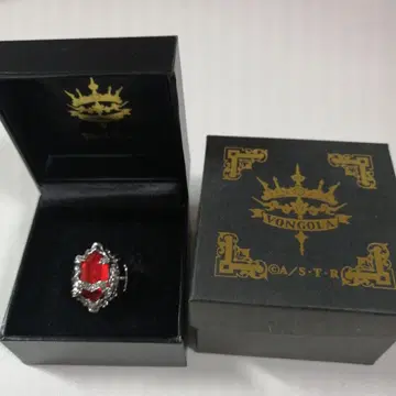 가정교사 히트맨 REBORN! 뉴 봉고레 링 폭풍 (고쿠데라 하야토)