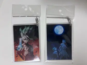 Dr.STONE 센쿠 아크릴 키링