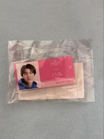 초특급 카시와기 유 아크릴 네임 배지