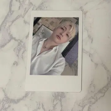 요우타 하피카 팬더 드래곤