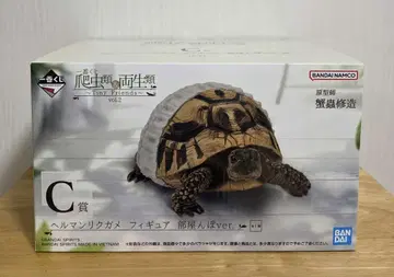 제일복권 파충류 양서류 헤르만 거북 C상