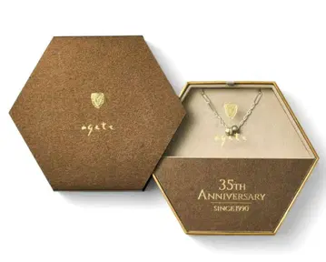 agete 2025 Limited Edition 실버 목걸이 세트