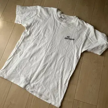 the shoegazer T-shirt