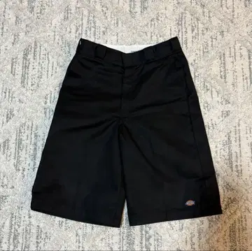 Dickies 루즈 핏 디키즈 루즈 핏 W30