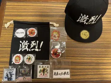 청춘 언덕 토시미츠 격렬 합동 라이브 공연 투어 2025 온라인 복권