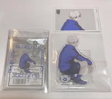 블루 록 나기 세이시로 캐릭터 도리 묶음 판매