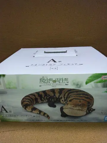 제일복권 파충류 & 양서류 2 A상 푸른혀도마뱀 피규어