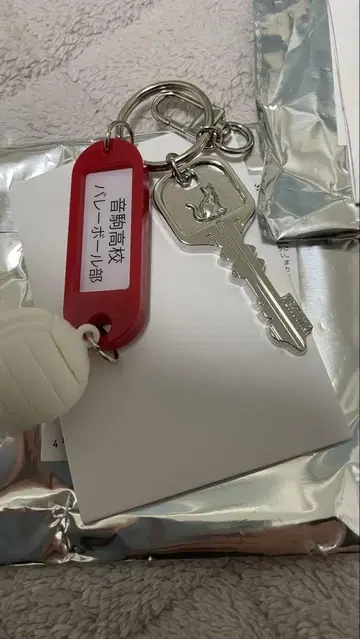 하이큐 고등학교 이름 열쇠 참 컬렉션 네코마 배구 키링