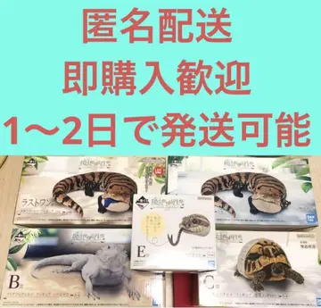 제일복권 파충류 & 양서류 라스트원 A B C E 세이브시시바나뱀 2
