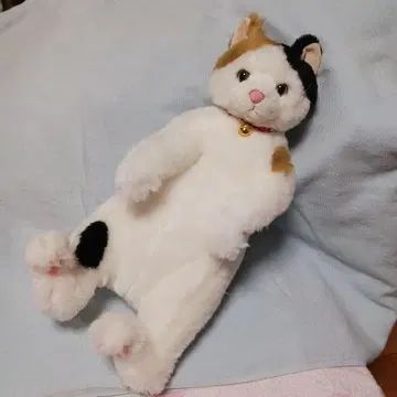 카들리 Cuddly 봉제 인형 삼색 고양이 코하루
