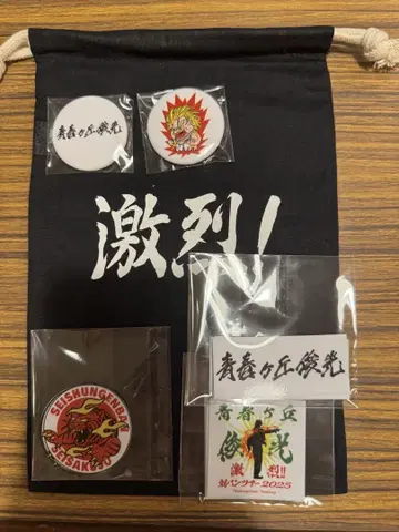 세이켄가오카 토시미츠 격렬한 합동 라이브 공연 밴드 온라인 복권