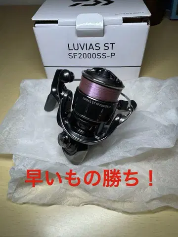 [새상품급] 24 LUVIAS ST SF2000SS-P