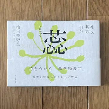 소마다 미노리 레분 단가 수술 시베